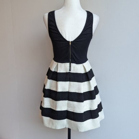 L'atiste by Amy textured pleated black & white striped colourblock a-line Dress - Picture 4 of 5